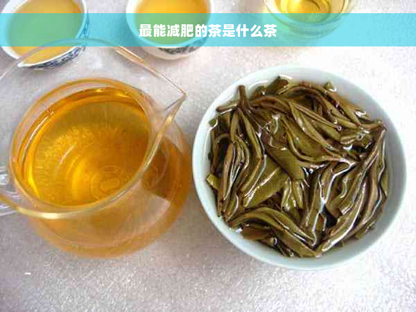 最能减肥的茶是什么茶