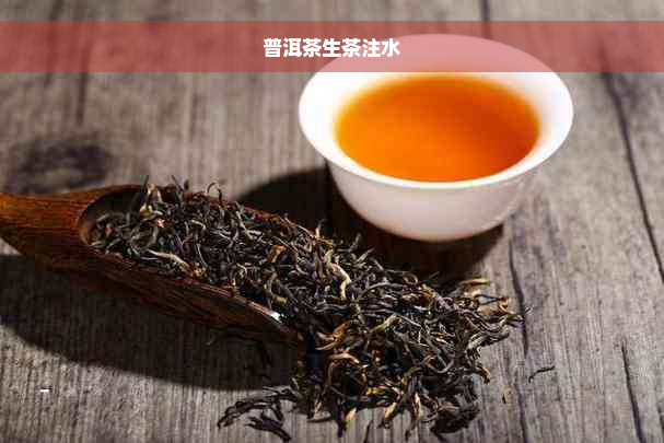 普洱茶生茶注水