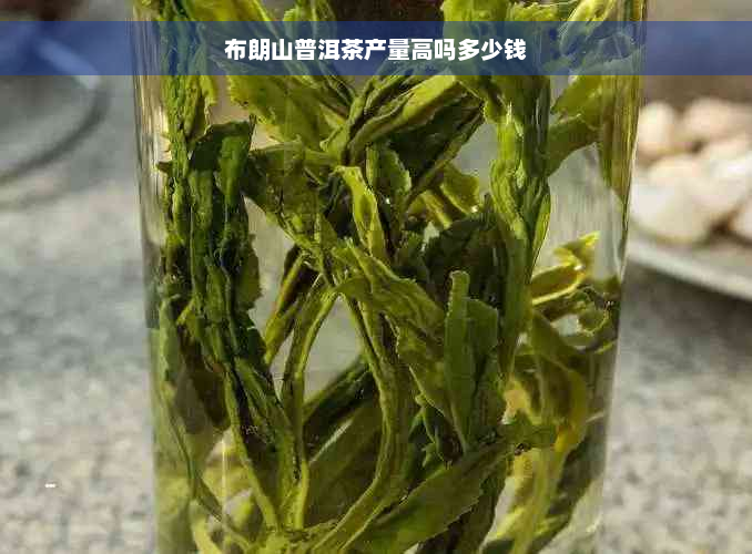 布朗山普洱茶产量高吗多少钱