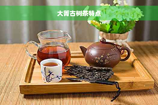 大箐古树茶特点