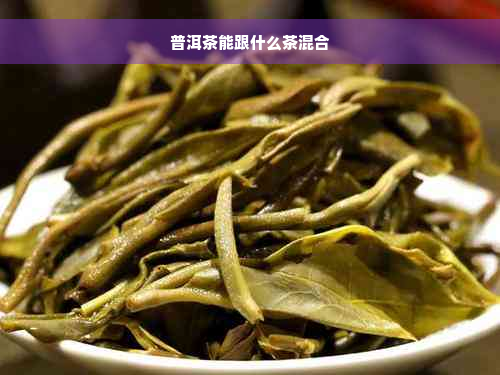 普洱茶能跟什么茶混合