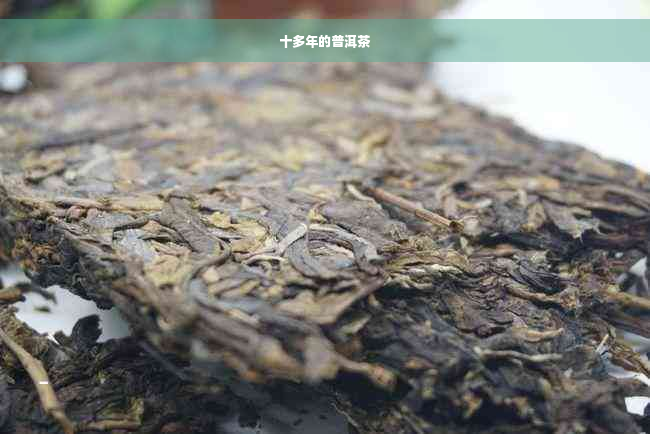 十多年的普洱茶