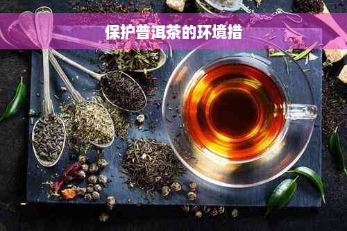 保护普洱茶的环境措