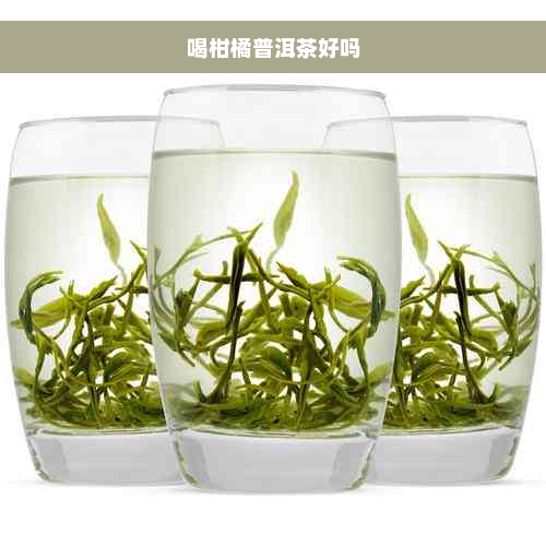 喝柑橘普洱茶好吗