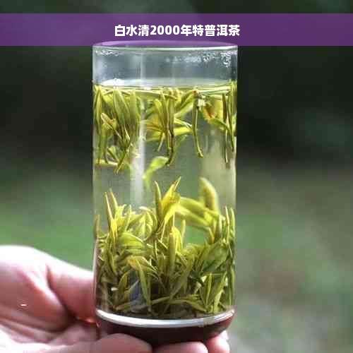 白水清2000年特普洱茶