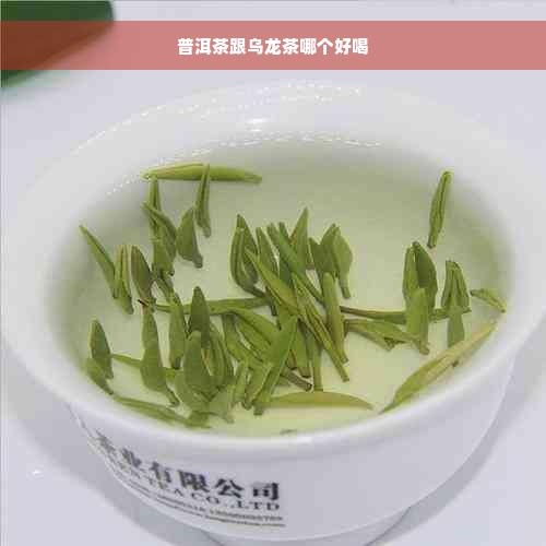 普洱茶跟乌龙茶哪个好喝