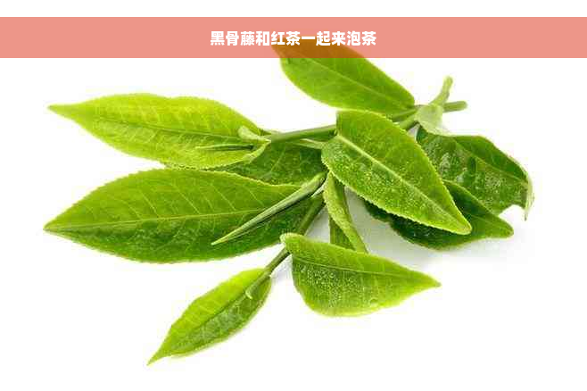 黑骨藤和红茶一起来泡茶