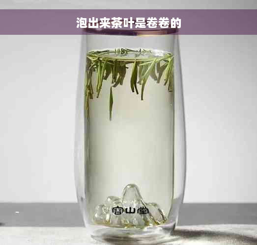 泡出来茶叶是卷卷的