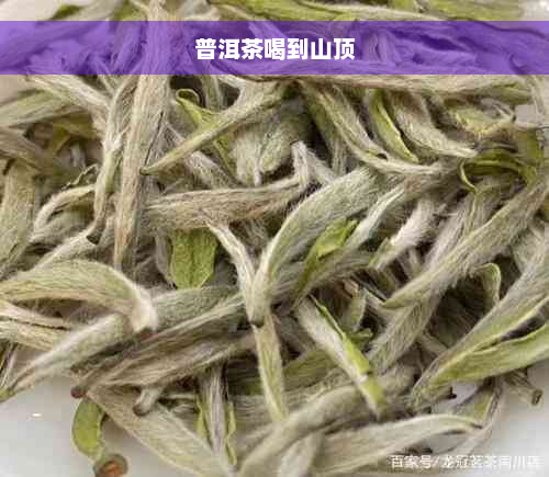 普洱茶喝到山顶