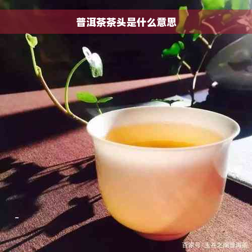 普洱茶茶头是什么意思