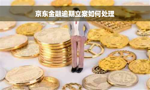 京东金融逾期立案如何处理