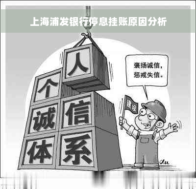 上海浦发银行停息挂账原因分析