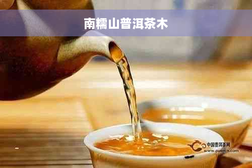 南糯山普洱茶木