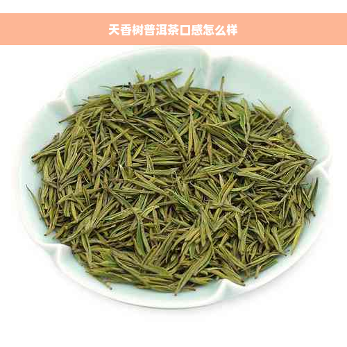 天香树普洱茶口感怎么样