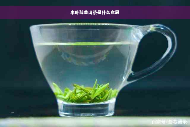 木叶醇普洱茶是什么意思