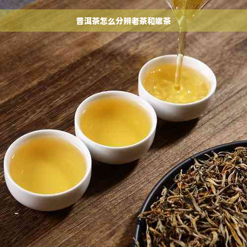 普洱茶怎么分辨老茶和嫩茶