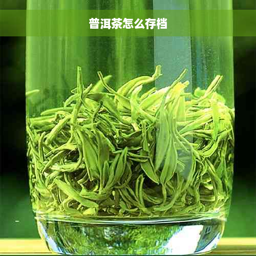 普洱茶怎么存档