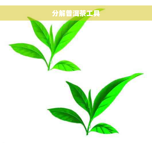 分解普洱茶工具