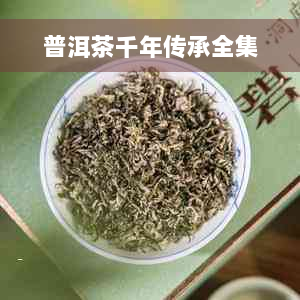 普洱茶千年传承全集