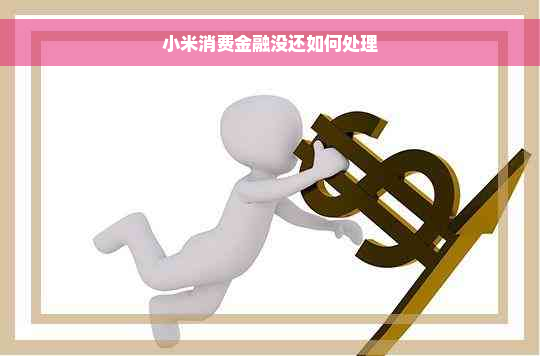 小米消费金融没还如何处理