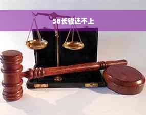 58长银还不上