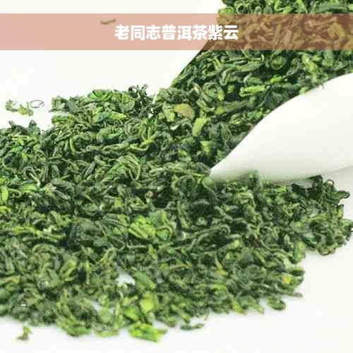 老同志普洱茶紫云