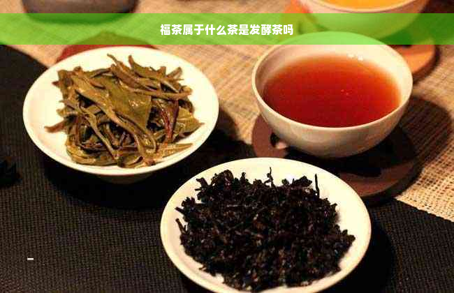 福茶属于什么茶是发酵茶吗