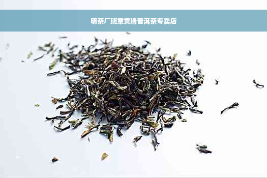 明茶厂班章贡瑞普洱茶专卖店