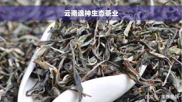 云南逸神生态茶业