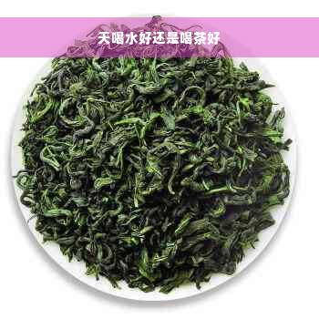 天喝水好还是喝茶好