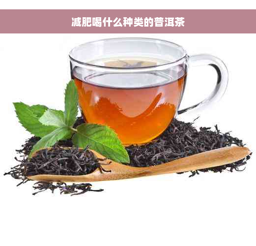 减肥喝什么种类的普洱茶