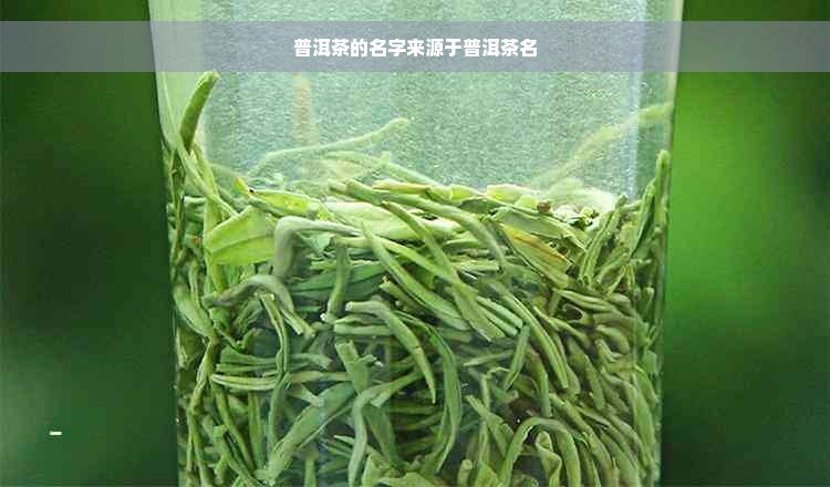 普洱茶的名字来源于普洱茶名