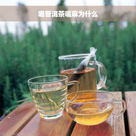 喝普洱茶嘴麻为什么