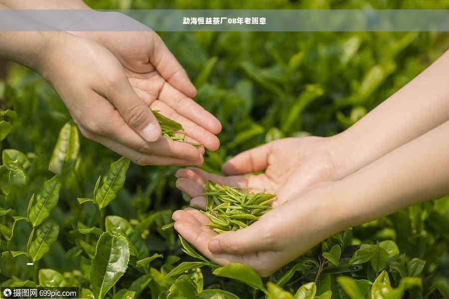 勐海恒益茶厂08年老班章