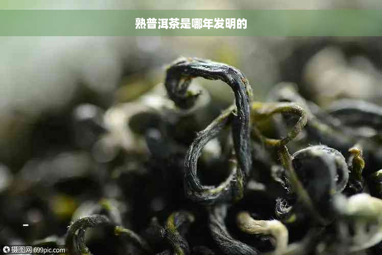 熟普洱茶是哪年发明的