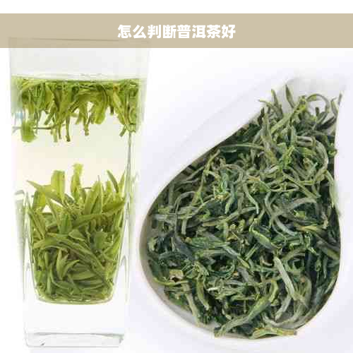 怎么判断普洱茶好