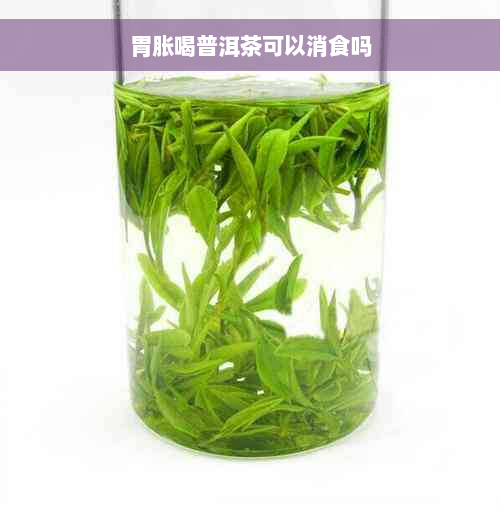 胃胀喝普洱茶可以消食吗