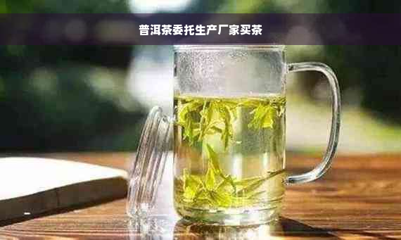 普洱茶委托生产厂家买茶