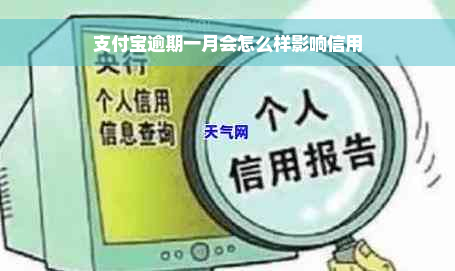 支付宝逾期一月会怎么样影响信用