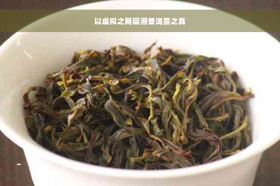 以虚拟之网回溯普洱茶之真