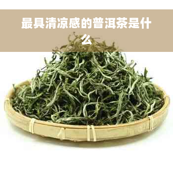 更具清凉感的普洱茶是什么