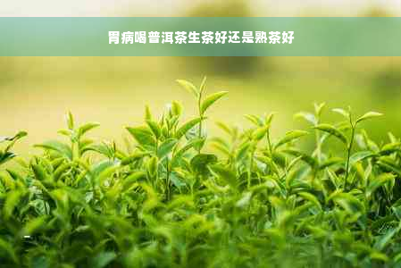 胃病喝普洱茶生茶好还是熟茶好