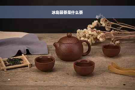 冰岛圆茶是什么茶