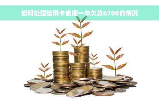 如何处理信用卡逾期一年欠款6700的情况