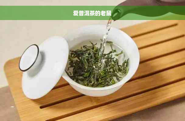 爱普洱茶的老鼠