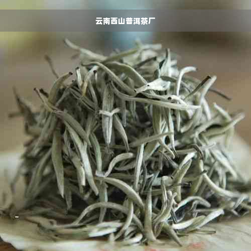 云南西山普洱茶厂