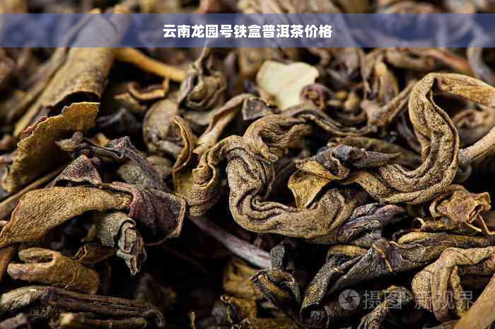 云南龙园号铁盒普洱茶价格