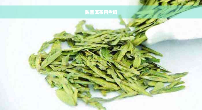 陈普洱茶用煮吗