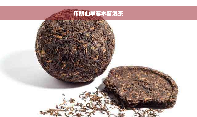 布朗山早春木普洱茶