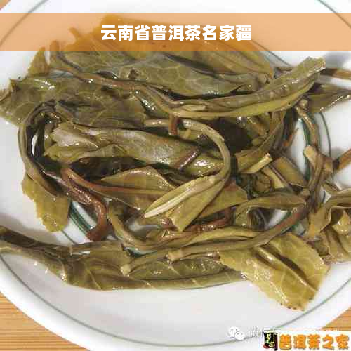 云南省普洱茶名家疆